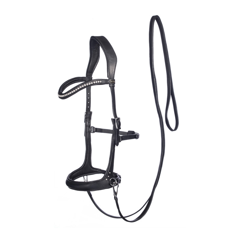 Rebecca Bitless Bridle - FRA