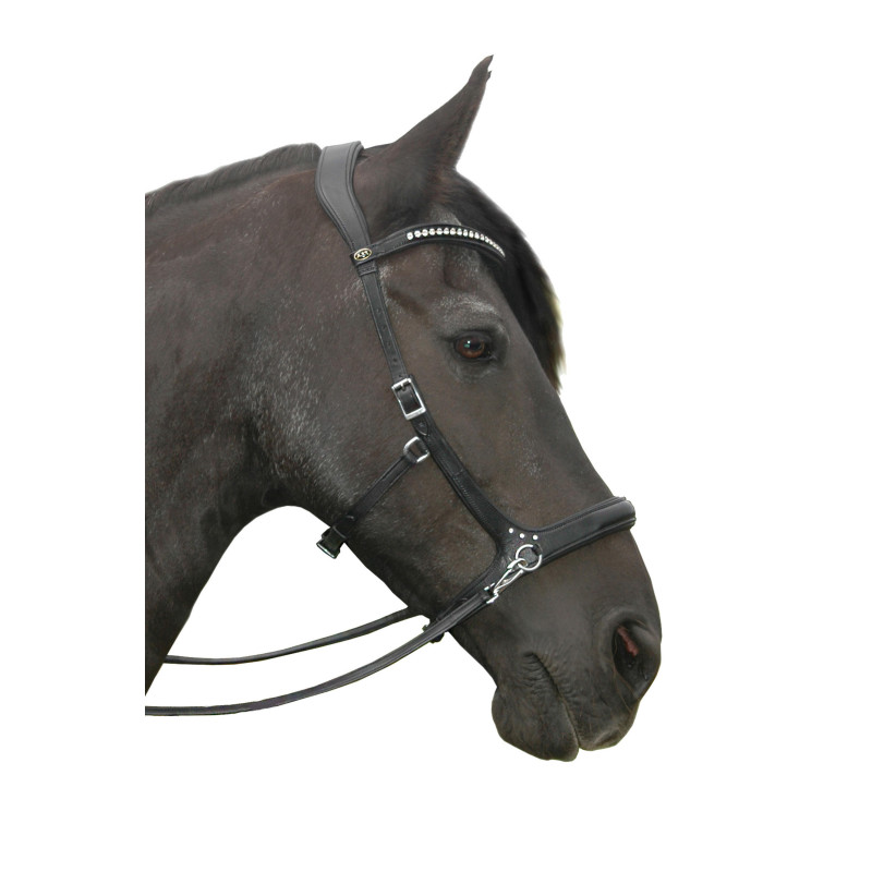 Rebecca Bitless Bridle - FRA
