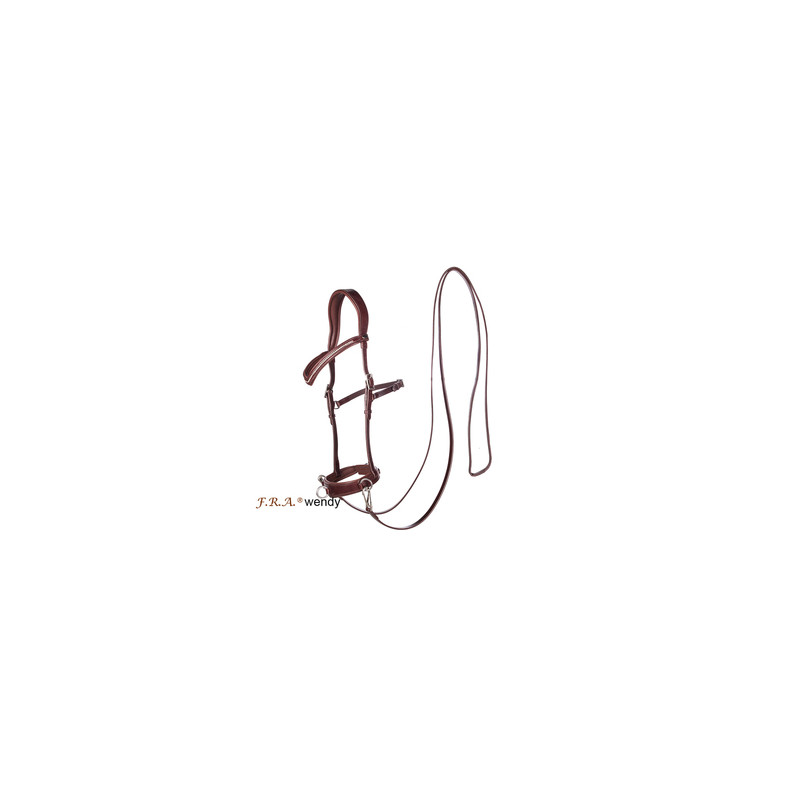 Wendy B Cavesson, Bitless Bridle - FRA