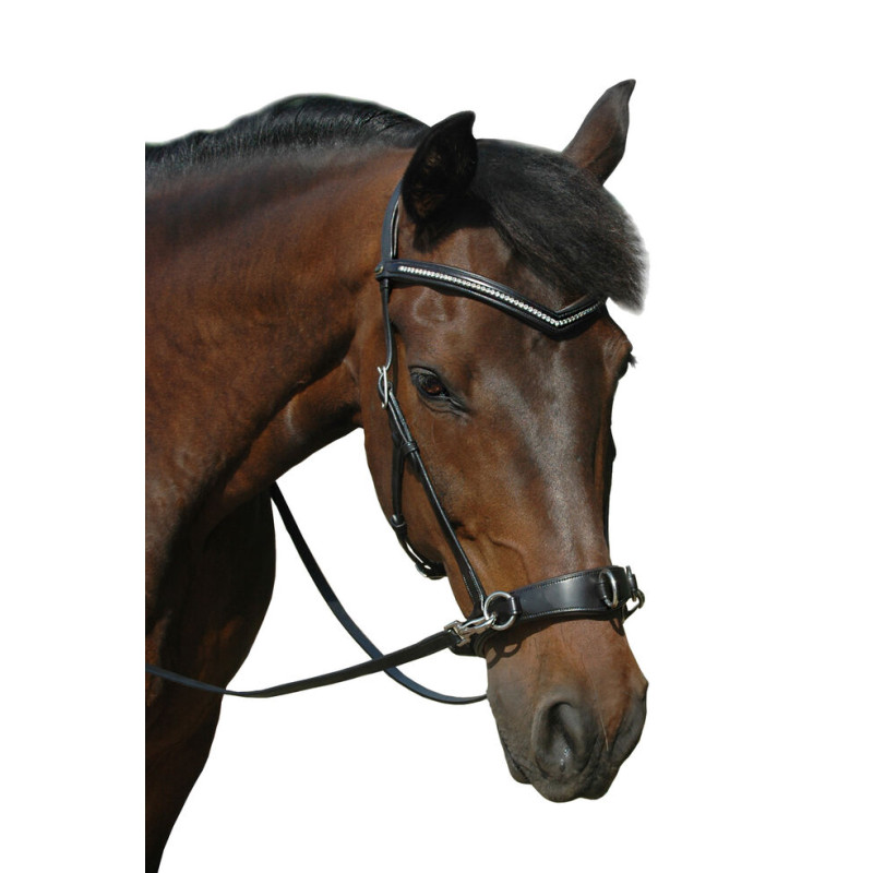 Wendy B Cavesson, Bitless Bridle - FRA