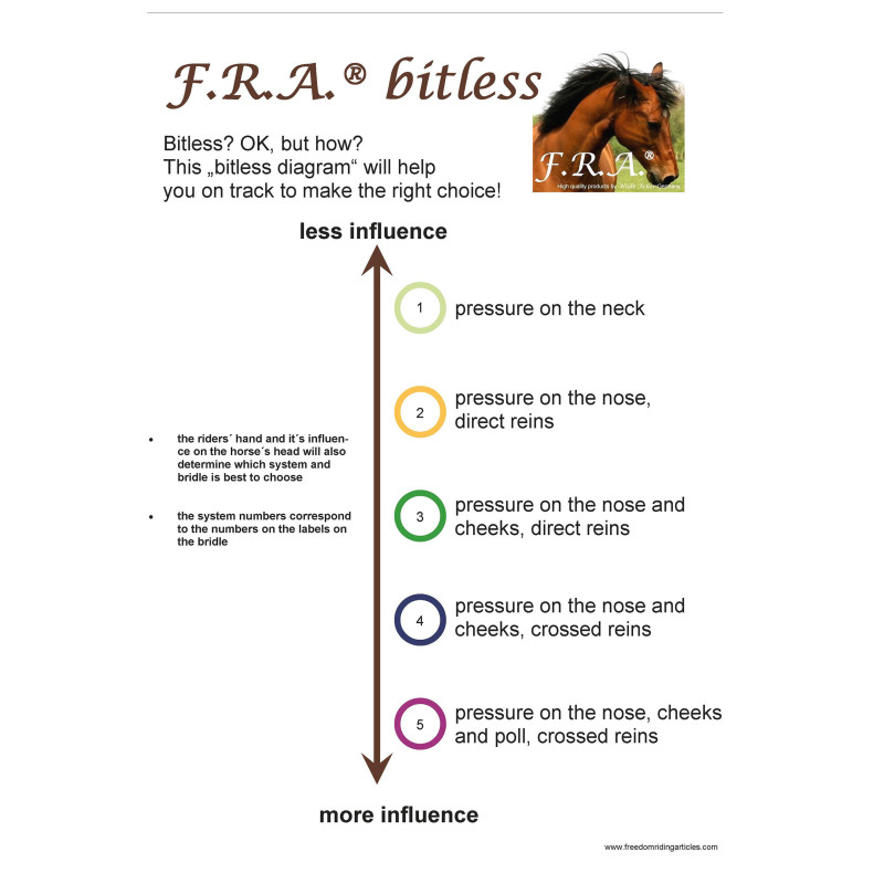 Glory Bitless Bridle - FRA