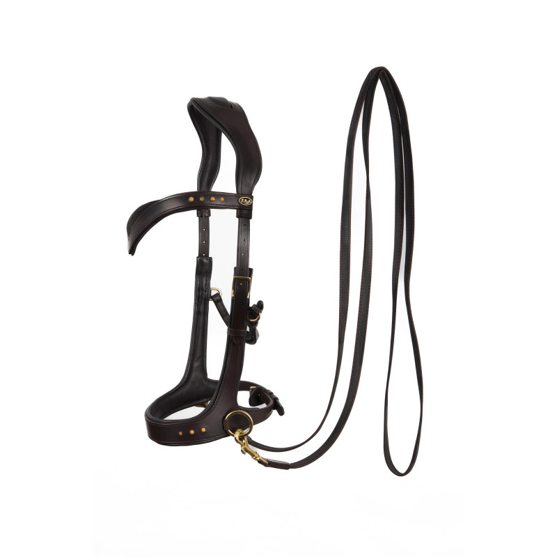 Glory Bitless Bridle - FRA