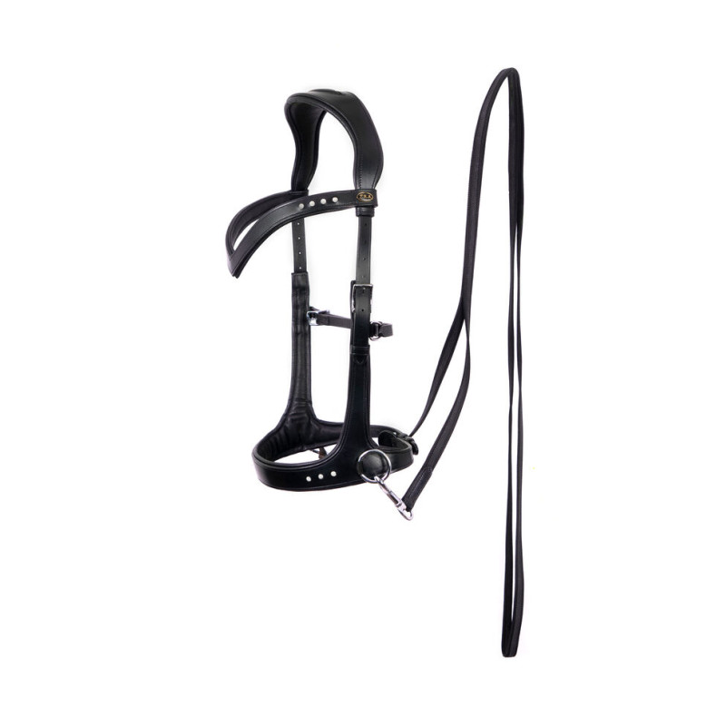 Glory Bitless Bridle - FRA