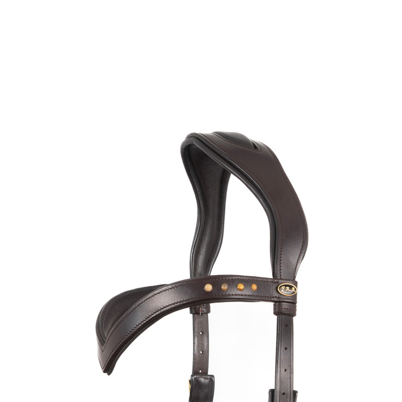 Glory Hackamore Bridle - FRA
