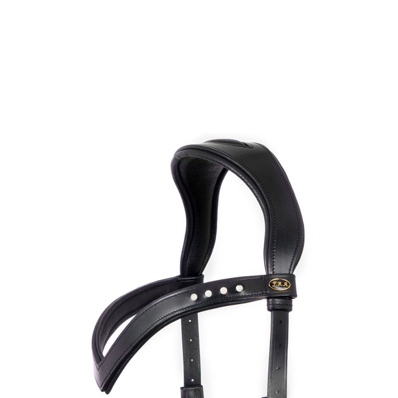 Glory Hackamore Bridle - FRA