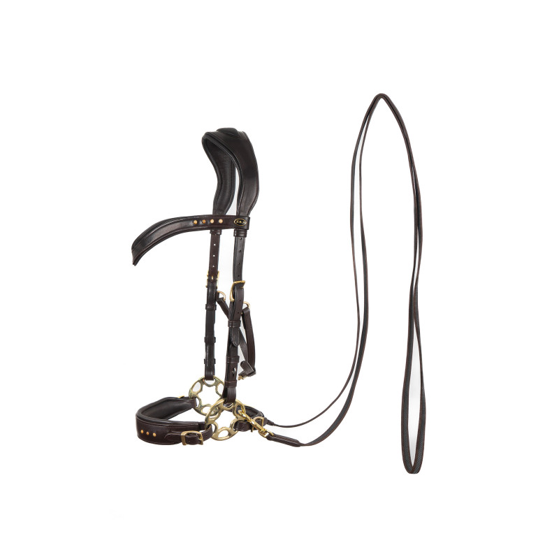 Glory Hackamore Bridle - FRA
