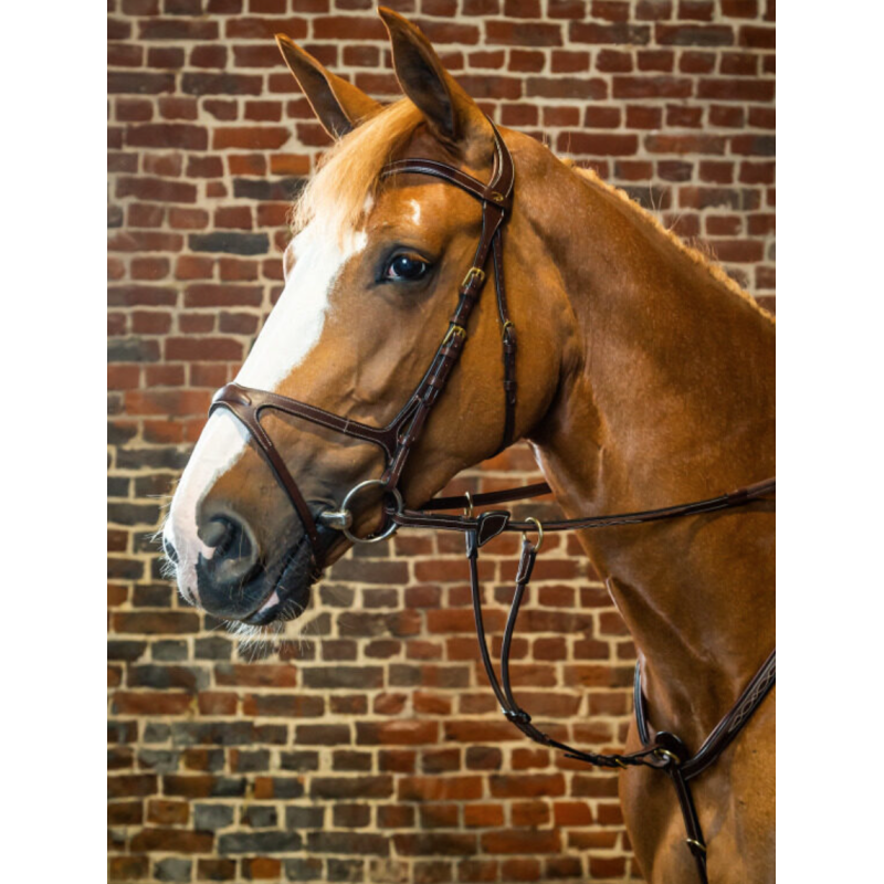 X-Fit Bridle - New English Collection Dy'on
