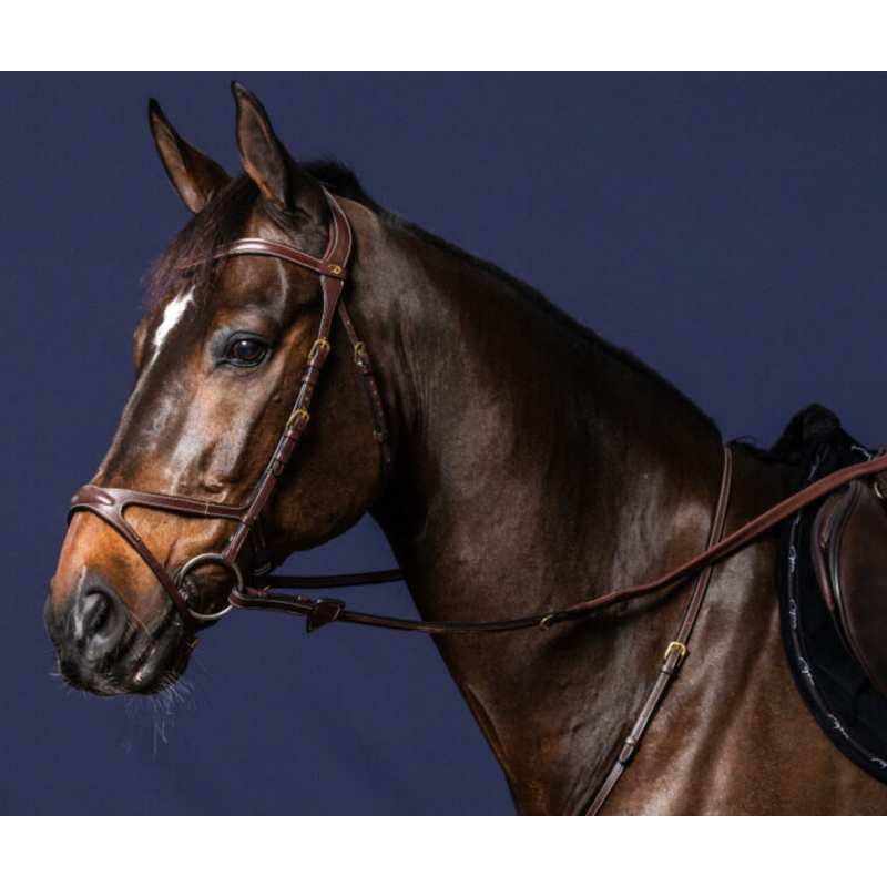 X-Fit Bridle - New English Collection Dy'on