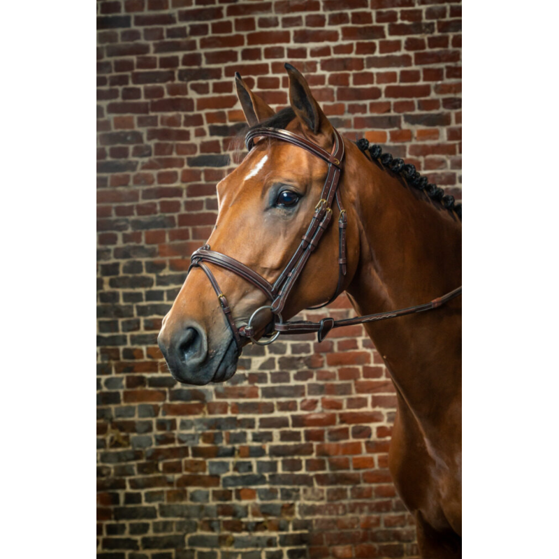 Flash Noseband Bridle - D Collection