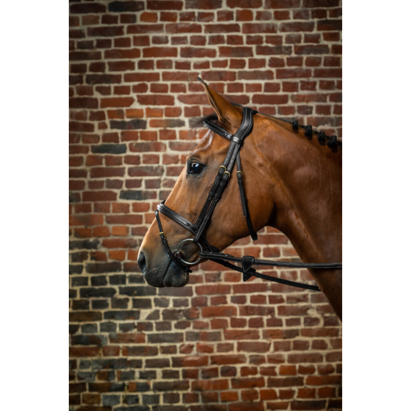 Flash Noseband Bridle - D Collection