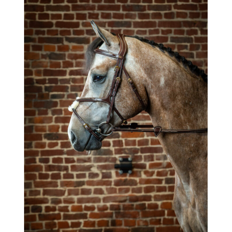 Fig 8 Noseband Bridle - D Collection