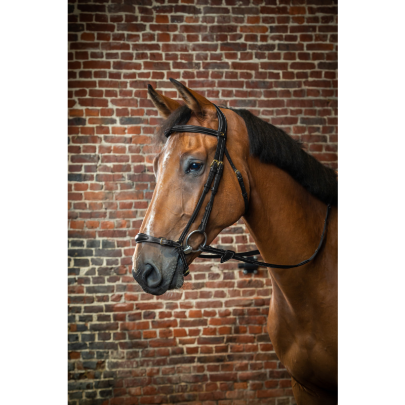 Drop Noseband Bridle - D Collection