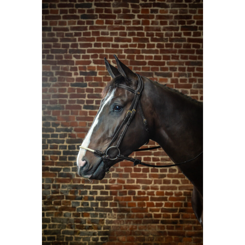 Rope Drop Noseband Bridle - D Collection