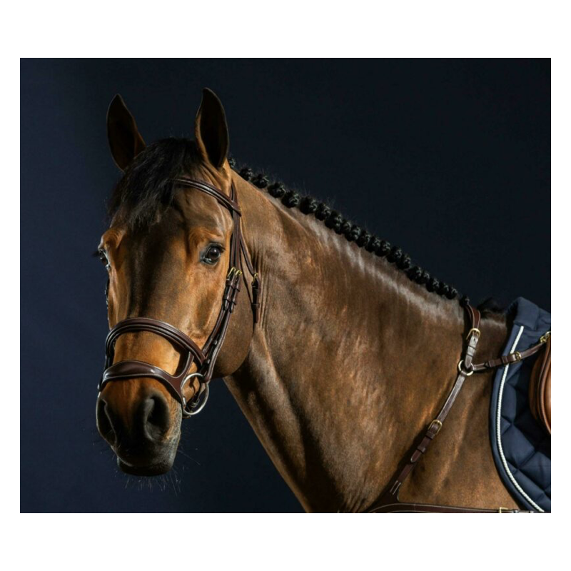 Double Noseband Bridle - D Collection