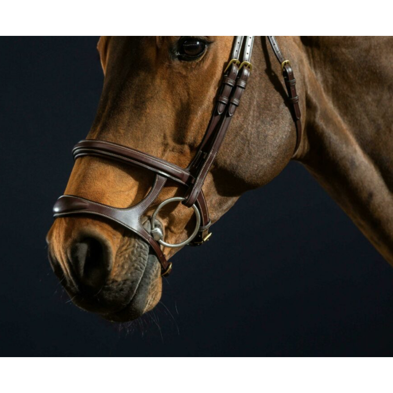 Double Noseband Bridle - D Collection