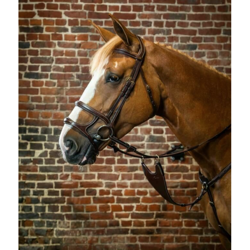 Double Noseband Bridle - D Collection