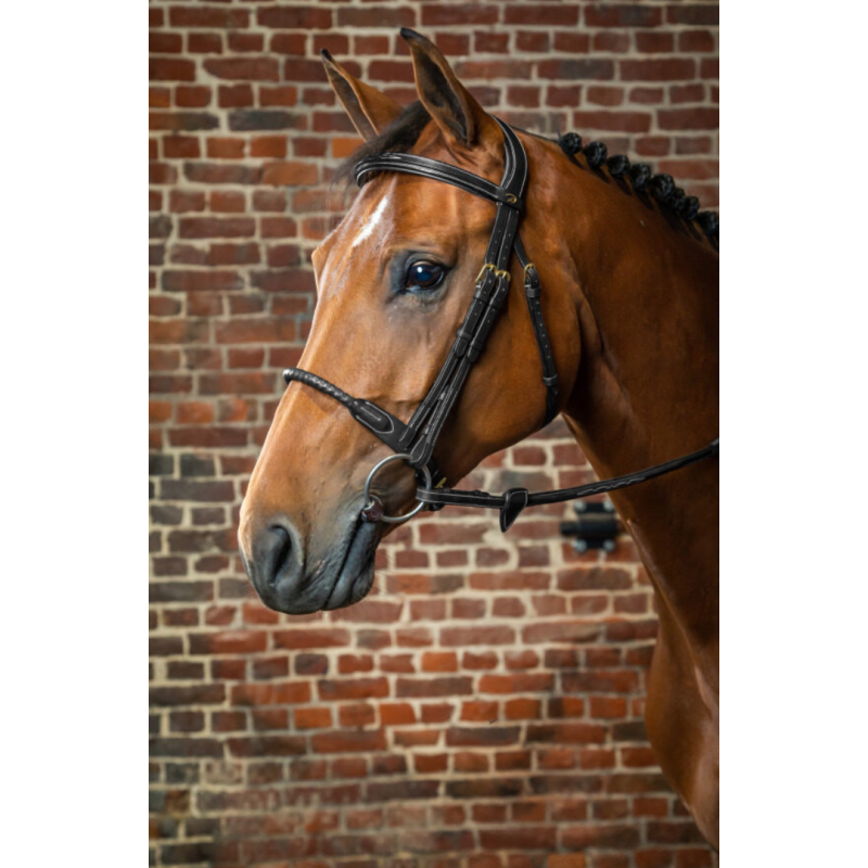 Leather Covered Rope Noseband Bridle - D Collection