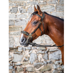 Hackamore Bridle - D...