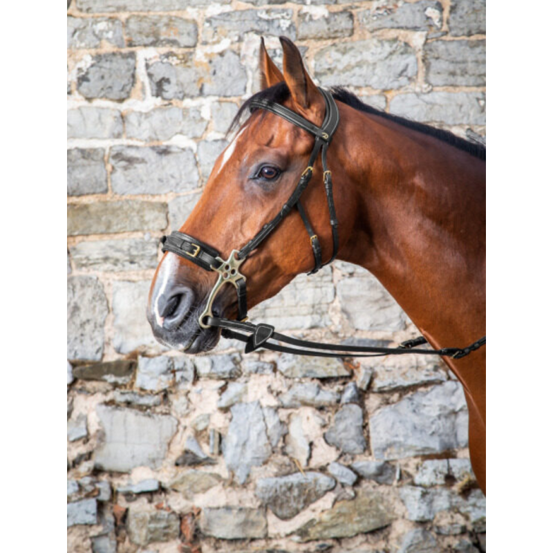 Hackamore Bridle - D Collection