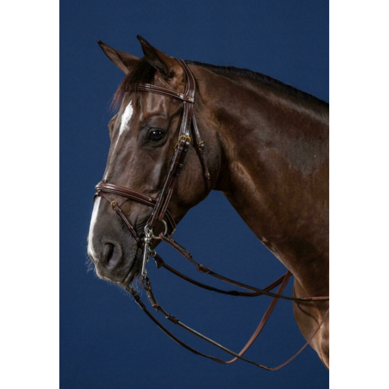 Flash Noseband Double Bridle - D Collection