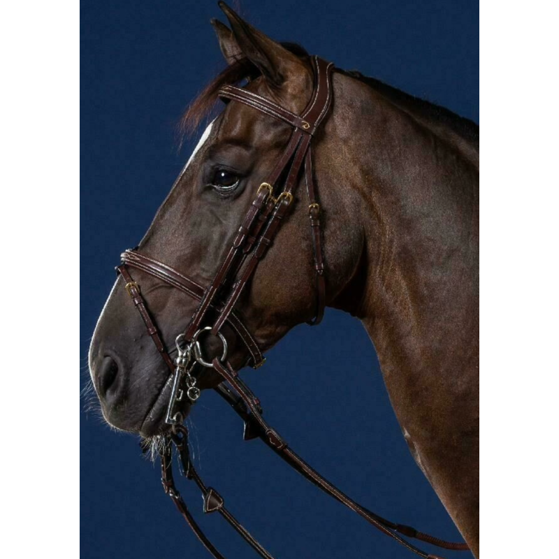 Flash Noseband Double Bridle - D Collection