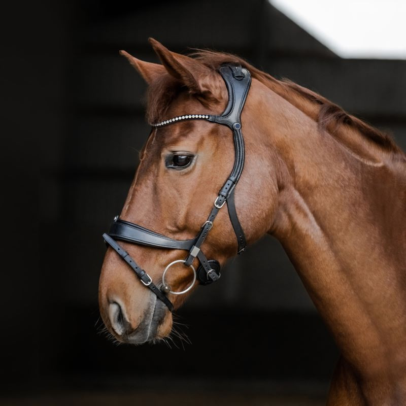 Freedom II Bridle Magic Tack  - Stubben