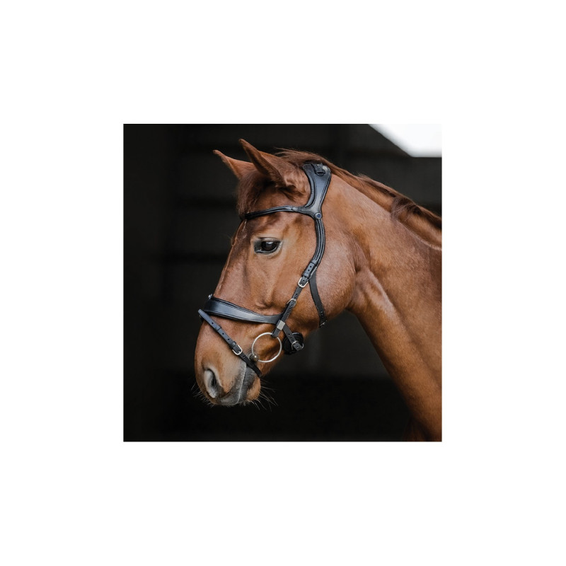 Freedom II Bridle - Stubben