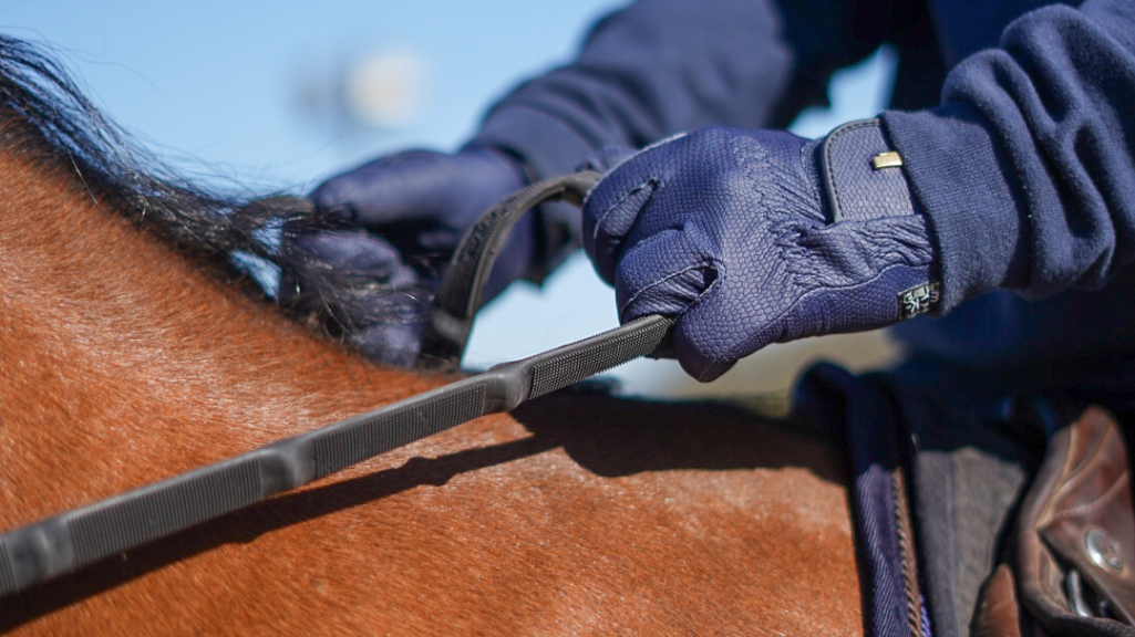 3 critères pour choisir vos rênes d’équitation