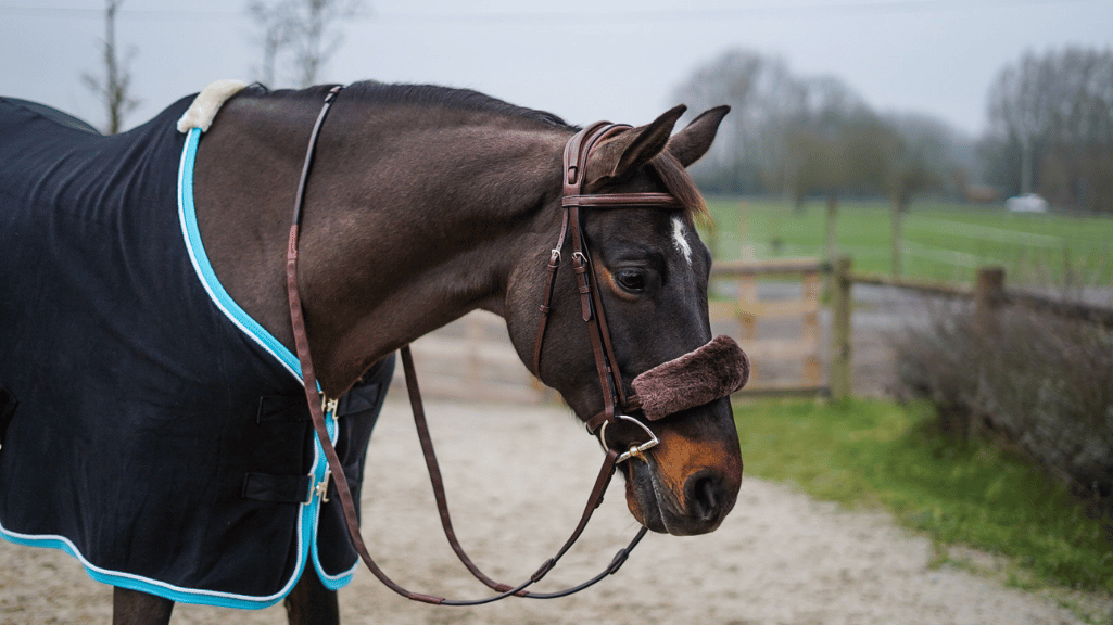 Nettoyez vos protections en mouton comme un pro