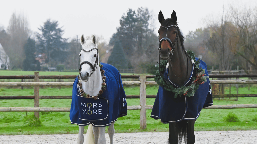 Idées-cadeaux pour cavaliers : le guide Mors And More pour Noël