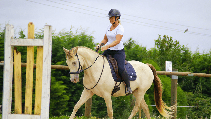 4 outils pour évoluer vers le sans-mors