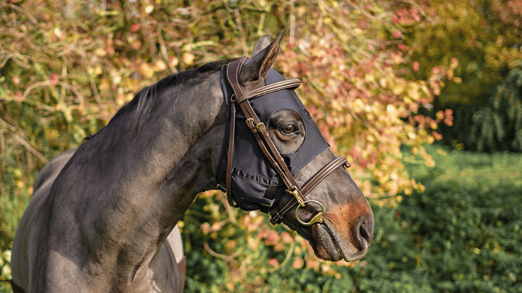 Comment fonctionne le masque anti-stress pour cheval Fenwick ?