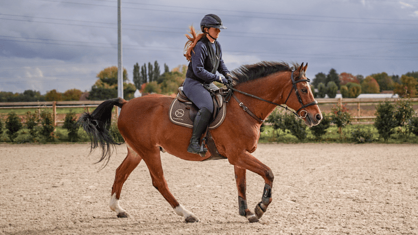 Mains instables, contact irrégulier : 4 outils pour améliorer le contact avec la bouche du cheval