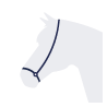 Drop Noseband