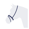 Combined noseband