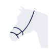 Double Noseband