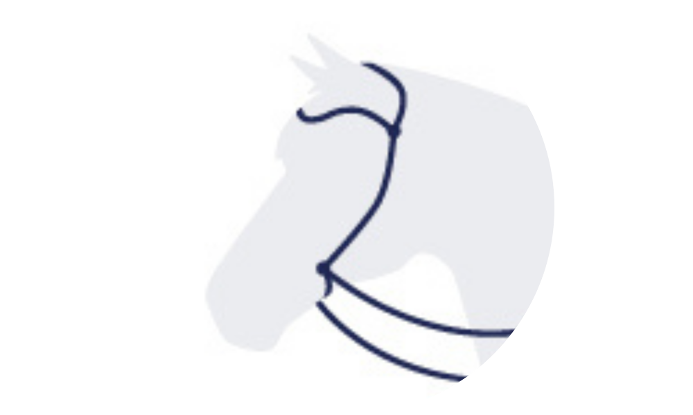 Bridle without noseband