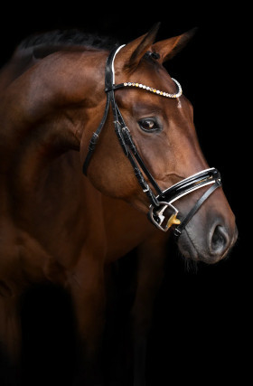 Made-to-measure by Bridle2Fit