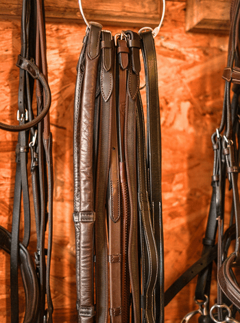 Find the reins you need