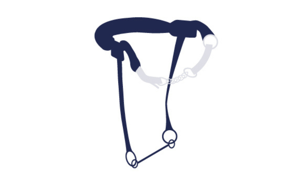 Hackamore