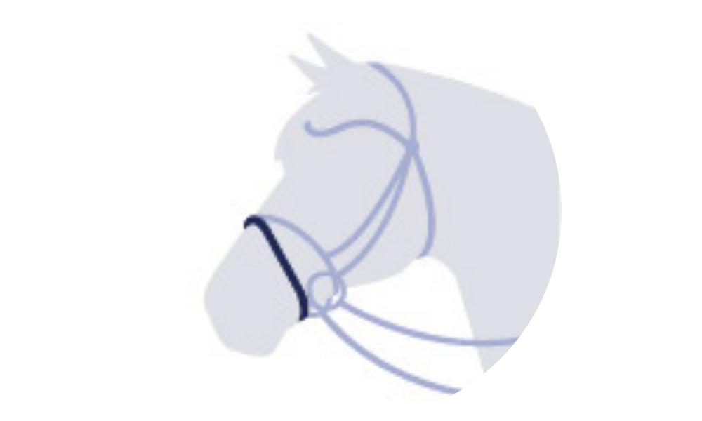 Noseband