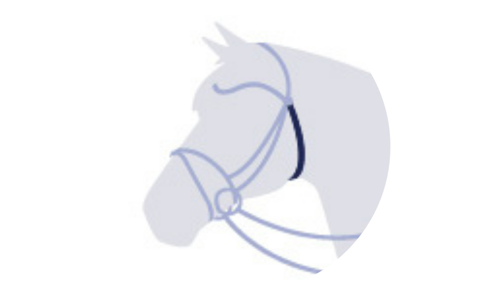 Mors De Bride Weymouth Pour Cheval En Acier Inoxydable - 18 Mm, Longueurs De 11,5 à 15,5 Cm