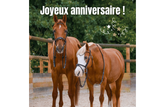 Carte cadeau - Anniversaire 5