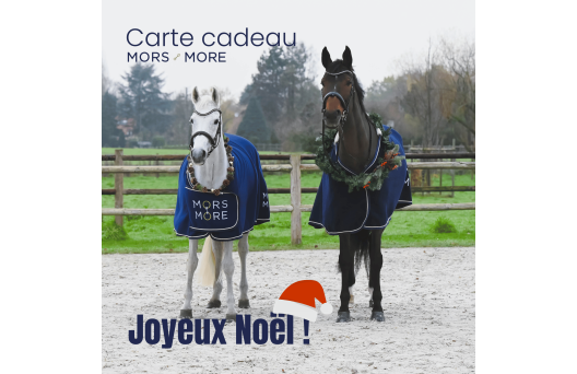 Carte cadeau - Noël 1