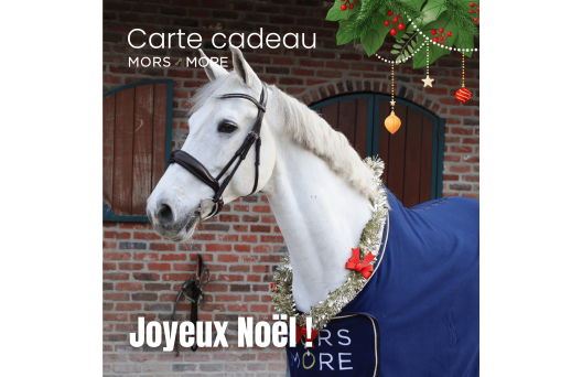 Carte cadeau - Noël 2