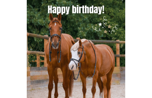 Gift card - Birthday 5