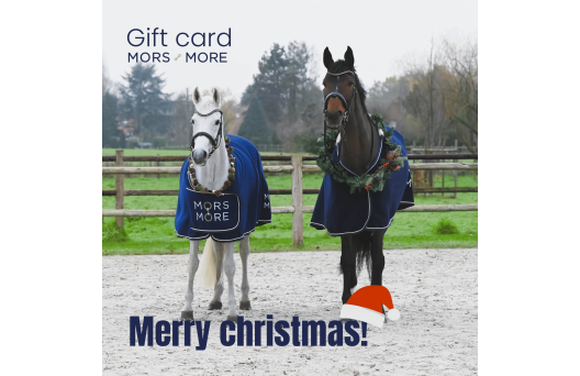Gift card - Christmas 1